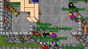 Valeime on screen