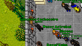 Sorcerer Cachaceiro on screen
