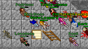 Snow Leapord on screen