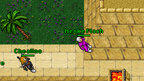 Henke Flash on screen