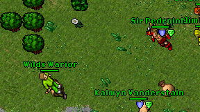 Wilds Warior on screen