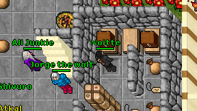 Noitte on screen