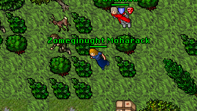 Zomeginught Moharack on screen