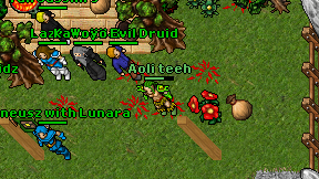 Aoli teeh on screen