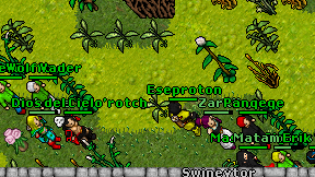 Eseproton on screen