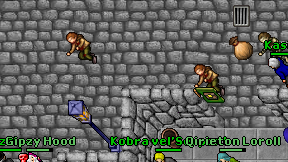 Kasist on screen