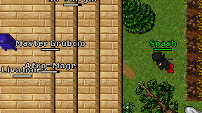 Master Grubcio on screen