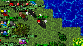 Neestor on screen