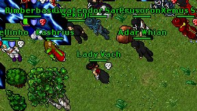 Lady Vach on screen