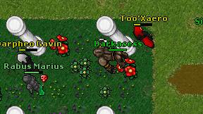 Darkasess on screen
