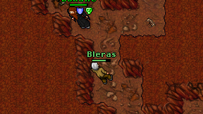 Bleras on screen