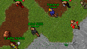 Alni Silli on screen