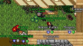 Core Ilussion on screen