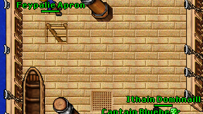 Feypalie Apron on screen