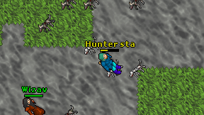 Hunter sta on screen