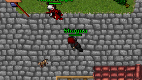 Shagua on screen