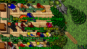 Maisterlady on screen