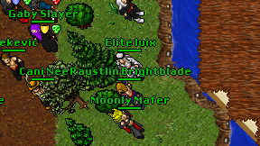 Raustlin Brightblade on screen
