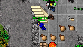 Vega'Tur on screen