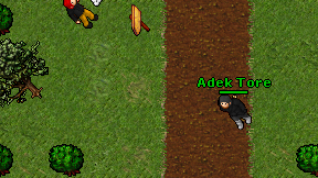 Adek Tore on screen
