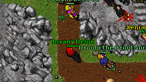 Insany Delux on screen