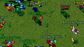Materwor on screen