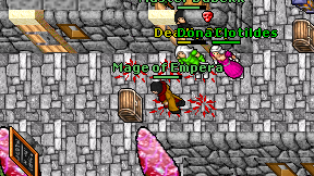 Mage of Empera on screen