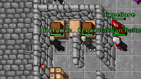 Riataman on screen