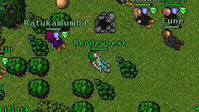 Berdevnest on screen