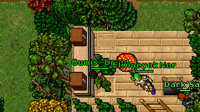 Gumis-Druid on screen