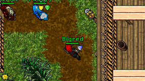 Bigred on screen