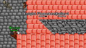 Knight Flamekeeper on screen