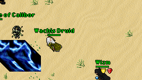 Wachis Druid on screen