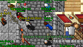 Oaza on screen