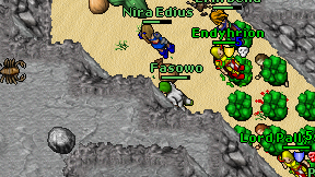 Fasowo on screen