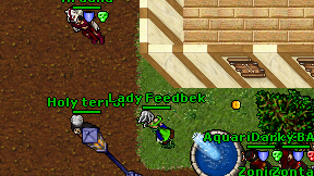 Lady Feedbek on screen