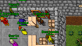 Lanorex on screen