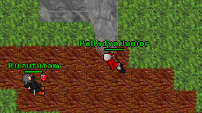 Palladyn Junior on screen
