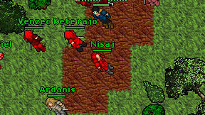Nisaj on screen