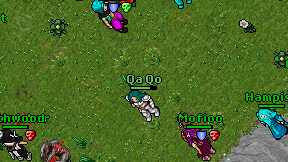 Qa Qo on screen