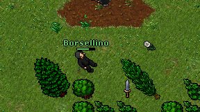 Borsellino on screen