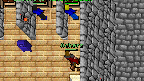 Ackerz on screen