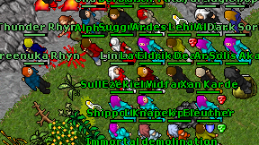 Kreenuka Rhyn on screen