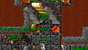 Ridos on screen