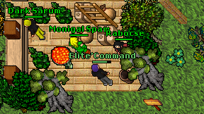 Elite'Command on screen