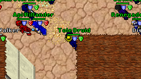 Tole Druid on screen