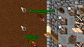 Buffalospirit on screen