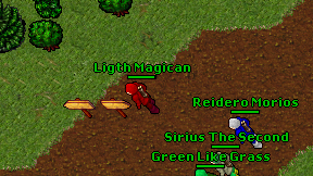 Ligth Magican on screen