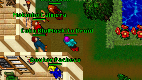 Muskito Druid on screen