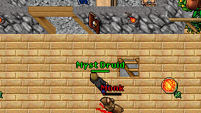 Myst Druid on screen